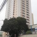 Vilma