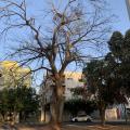 Lourdes - Vendendo - Apartamento com 138m² - Jardim Redentor - São José do Rio Preto