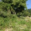 Monica - Vendendo - Terreno com 247560m² - Itaipuaçu - Maricá