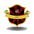 bfconsultoria
