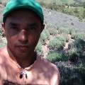 { Theverde } { Paisagismo E Tratamento de Areas Verdes }