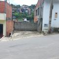 Cleia