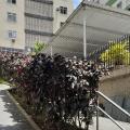 Cristina - Vendendo - Apartamento com 50m² - Laranjeiras - Rio de Janeiro