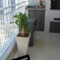 Sybelle - Vendendo - Apartamento com 104m² - Vila Monte Alegre - São Paulo