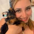 Carolina, que procura negociar um imóvel em Vila Haro, Granja Olga III, ALTO DA BOA VISTA, Sorocaba, em torno de R$ 4.000