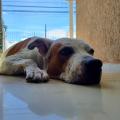 Felipe
