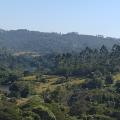 Johannes - Vendendo - Terreno com 73200m² - Vila Belmira - Itapevi