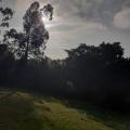 Juliana - Vendendo - Terreno com 1750m² - Centro - Viamao