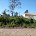 Cristiane