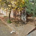 Mateus - Vendendo - Terreno com 250m² - San Rafael  - Ibipora