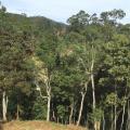 Roberto - Vendendo - Terreno com 2117m² - Mury - Nova Friburgo