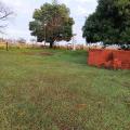 Rosangela - Vendendo - Sítio com 24000m² - Centro - Presidente Prudente