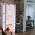 Jose - Vendendo - Casa com 250m² - Vila Moinho Velho - São Paulo