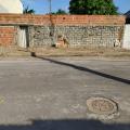 Verônica