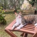 Eliane