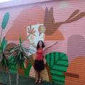 Clarisse, que procura negociar um imóvel em Setor de Postos e Motéis Norte (Lago Norte), Setor Noroeste, Asa Norte, Brasília, em torno de R$ 500.000