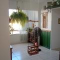 Patrícia - Vendendo - Apartamento com 66m² - Barreiros - São José