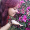 Michele, que procura negociar um imóvel em Centro, Jardim Novo Horizonte, Parque Roseira, Carapicuiba, em torno de R$ 450