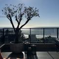 Lailane - Vendendo - Cobertura com 430m² - Praia Brava de Itajaí - Itajaí